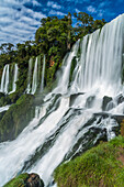 Nationalpark Iguazu-Fälle in Argentinien. Ein UNESCO-Welterbe. Das Bild zeigt die Bossetti-Fälle und links die Adam-und-Eva-Fälle