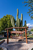 A carved wooden welcome sign in a Plaza Gral. Martin Guemes in Cafayate, Argentina.