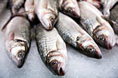 A variety of fresh fish are neatly arranged on ice at Barcelonas iconic Mercat de la Boqueria, showcasing local seafood.