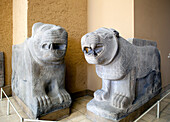 Berlin, Germany, July 24 2009, These impressive lion sculptures, dating back to the 8th century BC, are significant artifacts from the citadel of Sam\'al.