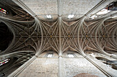 Leon, Spain, Aug 21 2008, The intricate stone vaults of the Hospital de San Marcos highlight stunning architectural craftsmanship in León, Spain.