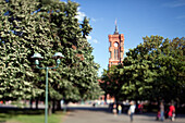 The iconic City Hall rises above the trees in Marx-Engels-Forum park, showcasing Berlin\'s stunning architecture and vibrant greenery.