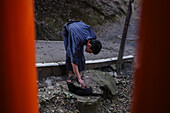 Young man petting a cat at Fushimi Inari Taisha temple at night, Kyoto, Japan