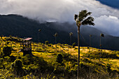 Sonnenaufgangsansicht der Sierra Nevada de Santa Marta, Berge, einschließlich Cerro Kennedy, auch bekannt als "la Cuchillo de San Lorenzo", Kolumbien