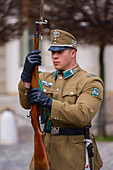 Changing of the Guard in Sandor Palace of Budapest, Hungary