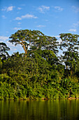 Don Diego Fluss, Santa Marta, Kolumbien