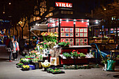 Virag flower store in the streets of Budapest at night, Hungary