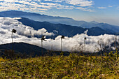 Sunrise view of the Sierra Nevada de Santa Marta, Mountains, including Cerro Kennedy, also known as 'la Cuchillo de San Lorenzo', Colombia