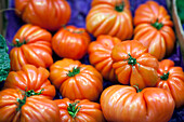 Colorful tomatoes are showcased at the bustling Mercado de la Boquería in Barcelona, attracting shoppers and visitors alike.