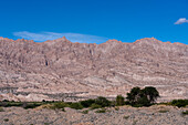 Die erodierte Landschaft des Calchaqui-Tals in der Provinz Salta, Argentinien