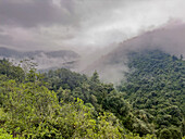 Low clouds in the yungas sub-tropical rainforest on a rainy day in Los Sosa Canyon Natural Reserve in Argentina.