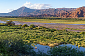 Wetlands along the Calchaqui River in sunset light in the Calchaqui Valley of Salta Province, Argentina.