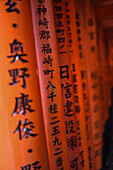 Exploring Fushimi Inari Taisha temple at night, Kyoto, Japan