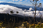 Sunrise view of the Sierra Nevada de Santa Marta, Mountains, including Cerro Kennedy, also known as 'la Cuchillo de San Lorenzo', Colombia