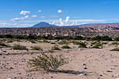 Die erodierte Landschaft des Calchaqui-Tals in der Provinz Salta, Argentinien