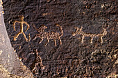 Two human figures with dogs on a pre-Hispanic Fremont Amerindian rock art panel in Nine Mile Canyon, Utah.