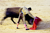 Sevilla, Spanien, 15. August 2008, Luis de Pauloba führt während eines Stierkampfes in der Real Maestranza geschickt einen rechtshändigen Pass aus und demonstriert dabei Eleganz und Kontrolle