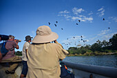 Bootstour zur Vogelbeobachtung mit Colombia Photo Expeditions auf dem Fluss Don Diego, Santa Marta, Kolumbien