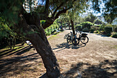 Abgestellte Fahrräder im Park von Biarritz, Frankreich