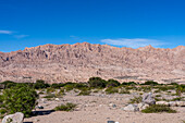 Die erodierte Landschaft des Calchaqui-Tals in der Provinz Salta, Argentinien