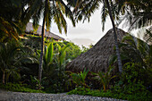 Finca Barlovento Cabaña & Maloka, Tayrona National Park, Colombia