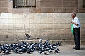 Barcelona, Spain, Sept 4 2008, An elderly man gently scatters food for pigeons in the tranquil courtyard of Biblioteca de Catalunya in Barcelona.