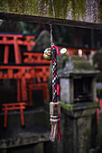 Exploring Fushimi Inari Taisha temple at night, Kyoto, Japan