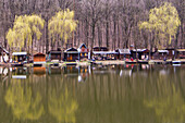 Wooden cottages by the river in Hungary