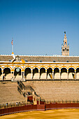 Seville, Spain Aug 15 2007, The iconic Real Maestranza bullring in Seville showcases its stunning architecture under a bright blue sky during the afternoon.