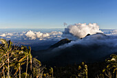 Sunrise view of the Sierra Nevada de Santa Marta, Mountains, including Cerro Kennedy, also known as 'la Cuchillo de San Lorenzo', Colombia