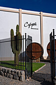 The Bodga Etchart winery in Cafayate, Argentina with large vintage wine casks.