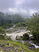 Los Sosa River in the yungas sub-tropical rainforest on a rainy day in Los Sosa Canyon Natural Reserve in Argentina.