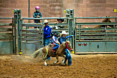 A young cowboy rides a small bucking pony with some help from his mother at the Moab Junior Rodeo in Moab, Utah.