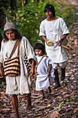 Kogi mamo (priest) and family walking through the forest.