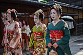 Group of women dressed as Maikos in the streets of Kyoto, Japan