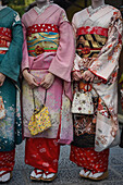 Group of women dressed as Maikos in the streets of Kyoto, Japan