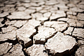 The dry and cracked soil of a marshland in Sanlucar de Barrameda reflects the effects of a prolonged drought.