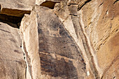 A dog figure on a pre-Hispanic Fremont Amerindian rock art panel in Nine Mile Canyon, Utah.