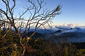 Sunrise view of the Sierra Nevada de Santa Marta, Mountains, including Cerro Kennedy, also known as 'la Cuchillo de San Lorenzo', Colombia