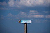 Sign near San Bartolomé de Pinares, Ávila.