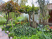 Landscaping in the garden of the Pumahuasi Boutique Hotel, a small hotel in Purmamarca, Argentina.