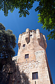 Torre del Clavero, a 15th-century tower in Salamanca, stands prominently against the blue sky surrounded by lush greenery.