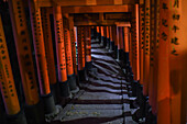 Exploring Fushimi Inari Taisha temple at night, Kyoto, Japan