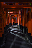 Exploring Fushimi Inari Taisha temple at night, Kyoto, Japan