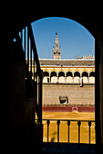 The Maestranza bullring in Seville is framed by an archway, showcasing its historic architecture and vibrant atmosphere under sunny skies.