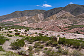 Ruins of an old hacienda in the Calchaqui Valley between Los Cardones National Park & Payogasta, Argentina.