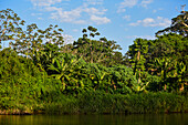 Fluss Don Diego, Santa Marta, Kolumbien