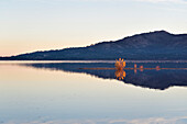 The Santillana reservoir in Manzanares el Real, Madrid.