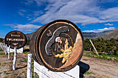 Decorated wine casks at the Bodega Tolombon winery and vineyard in Cafayate, Argentina.