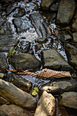 River water in Sierra Nevada de Santa Marta, Colombia